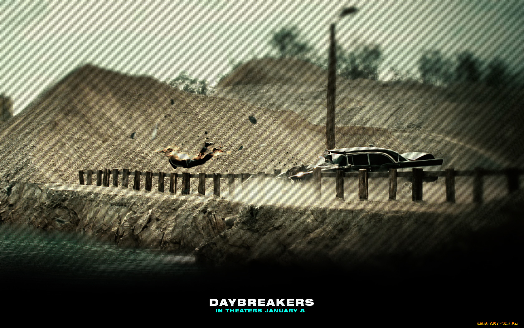 daybreakers, , 